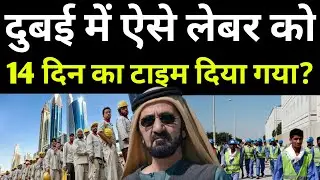दुबई में ऐसे लेबर को 14 दिन का टाइम दिया गया? | Dubai Breaking News | Uae News Today 