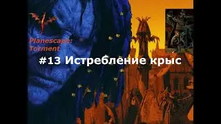 13. Истребление крыс - прохождение игры Planescape: Torment