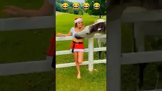 हँसी रोकना नामुमकिन है 🤣🤣 | Crazy Funny Fails #shorts #memes #fails #funnymoments