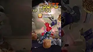 Ninja - Re:Dragonica