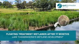 Floating Treatment Wetlands | Root Growth Update After 17 Months | Lake Tuggeranong, Canberra