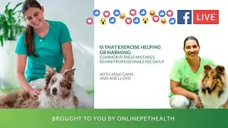 Common Fitness Mistakes Rehab Professionals See Daily, with Jana Gams