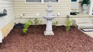 Early Spring Flower Garden Tour