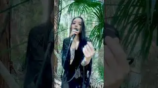 Whiteout, live in the Queensland rainforest with the cicada choir #gothenya