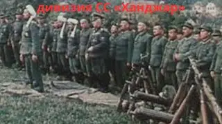 13-я добровольческая горнопехотная дивизия СС &laquo;Ханджар&raquo; (1-я хорватская)