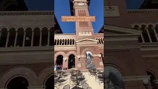 Want to See Texas During a Layover at DFW Airport? Do THIS!