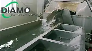 Quail Egg Boiling And Peeling Machine Quail Egg Peel Removing Machine Egg Washing Machine Automatic
