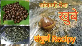 Khube ( Kokani meva ) Recipy, Snails Recipy. Snails catching.