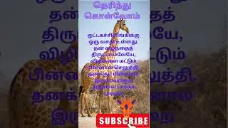 பின்பார்வை #shorts #ஒட்டகச்சிவிங்கி #giraffe #தெரிந்துகொள்வோம் #படித்ததில்பிடித்தது #trending