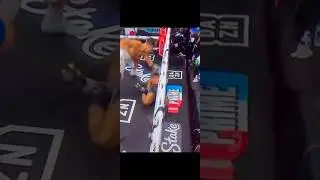 Chase DeMoor KO'S Stevie Knight and gets Disqualified #shorts #misfitsboxing #misfits #misfitsboxing