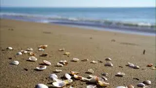 Mindful Meditation for Stress Relief | Daily Calm Practice
