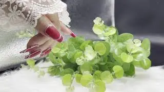 Sparkling diamond powder 101: 17 steps to success