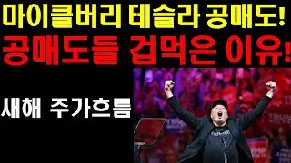 마이클버리 테슬라 공매도? 공매도들 겁을 잔뜩 먹고 있는 이유! 머스크의 XAI 100개 GPU 센터 곧 완공! 상상초월 기대효과 나온다! 자율주행과 로보택시 그록과의 미친조합!