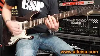 ESP Ltd Elite ST-1 Demo ( The Wicker Man Cover )