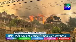 Incendio Forestal en el Gran Concepción ha consumido más de tres mil hectáreas, y se mantiene activo