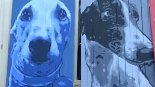 Racing greyhound Artwork