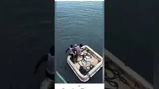 Tanzania musician Mbosso accidentally fall into water while shooting a video scene #mbosso
