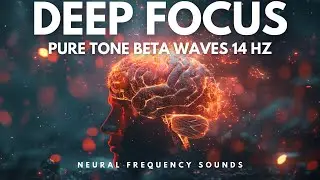 Deep Focus: 14 Hz Beta Waves for Concentration & Accelerated Learning