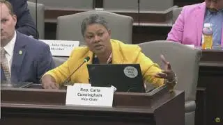 State House lawmakers debate healthcare for transgender minors