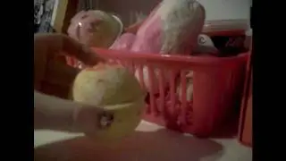 Lush Collection/Storage 22/12/2010 (HD)
