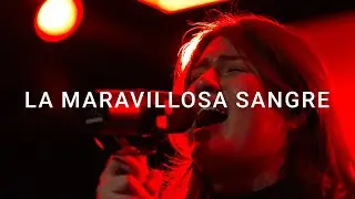 La Maravillosa Sangre - Ana Arroyo