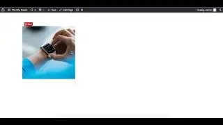 How to make an image a circle in Divi using CSS