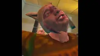 Catch the furry Drunkn Bar Fight VR