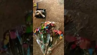 Amazon mystery box 20$ Магазин потерянных посылок в Нью Йорке
