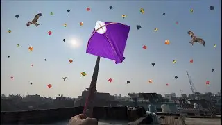 Lohri vlog 2026 | kite flying | patang ki video | talibkavlogs #lohri #kitefestival 