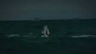 Ballena Gris