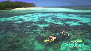 Big Cat Green Island Reef Cruises Chinese Subtitles