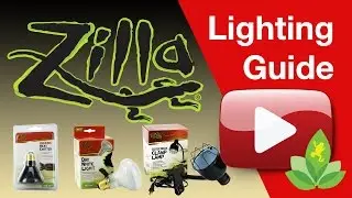Zilla Lighting Guide