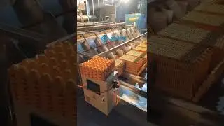 How Does an Egg Tray Collection Machine Work? | AGICO Egg Tray Production Line