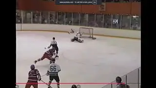 Breaking Trail with the Huskies Final Edit