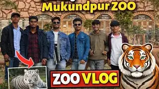 🐯 Mukundpur Zoo Full Vlog | Funny Moments | Wild Animals | Public Reaction 😍 #youtube #vlog 