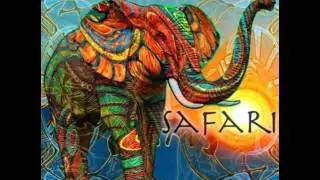 Thales Dumbra - Safari