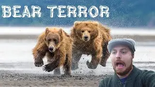 Bear Terror (Illustrated)