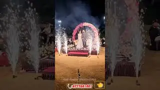 cold fire short video / Anil flower decoration938 / #coldfireshortvideo #wedding #decoration