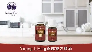 Young Living 皇牌產品介紹 - Thieves 盜賊複方精油