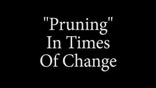 Pruning In Times Of Change by Jones Loflin