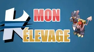 [Dofus] Mon élevage : Septembre (+ technique pour accoupler 80 DD en 1 min)