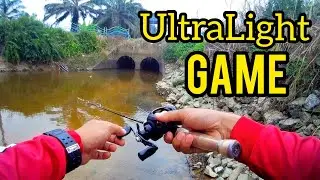 Malaysia Tunnel Fishing | Haruan Hunter