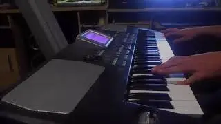 BOYS - WOLNOŚĆ 2017 KEYBOARD KORG PA500