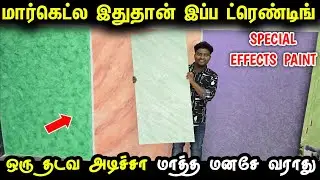 மார்கெட்ல  Trending-ஆன Special effects paint | Best Paint for home | home painting ideas for home