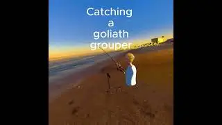 CATCHING A GOLIATH GROUPER IN REAL VR FISHING!!!!!!!! #fishing