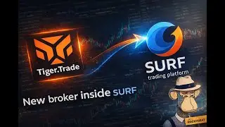 TigerTrade в SURF/ обзор обновления от RockyBeat