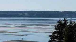 Warm Beach Tide Time Lapse