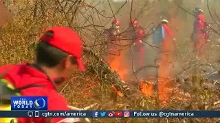 Bolivia struggles to keep wildfires under control