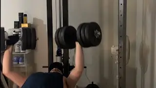 The Bulk Day 16 - Chest and Biceps