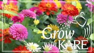 Grow with KARE: Late-blooming flowers